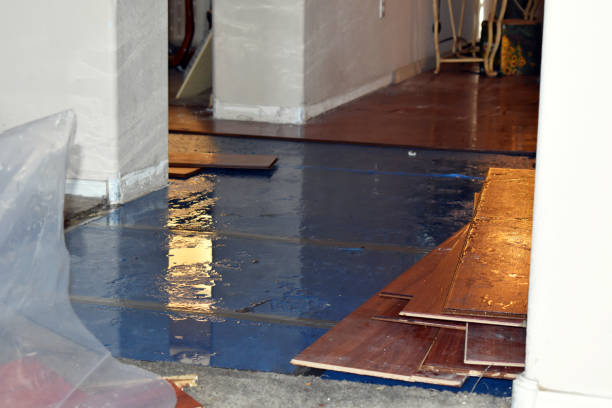 Professional Basement Flood Cleanup technician working in Clark, MO
